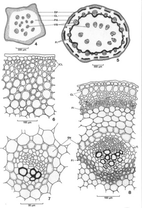 fig021.jpg