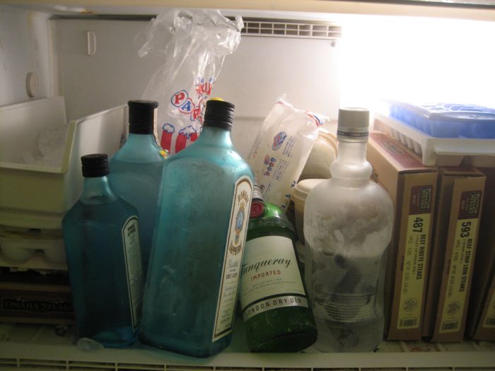dangerhouse-freezer